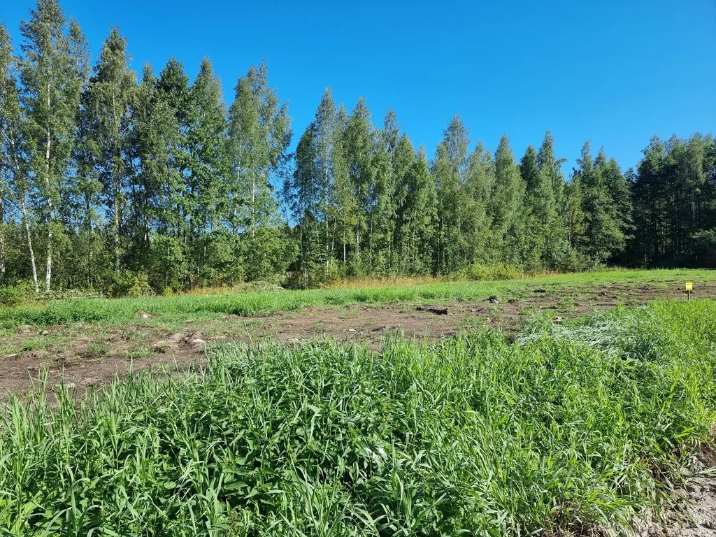 Продажа участка, Большие Пороги, Всеволожский район - Фото 7