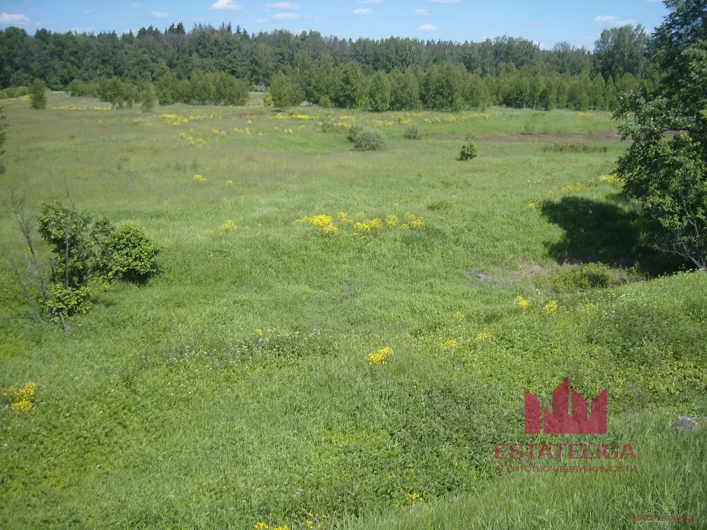 Продажа земельного участка, Богослово, Богородский г. о. - Фото 3