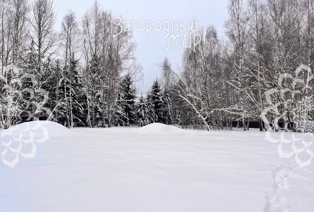 Продам участок, Новорижское шоссе, 28 км от МКАД - Фото 6