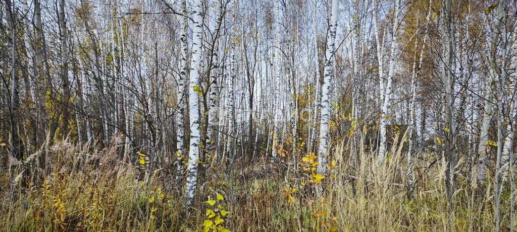 городской округ Владимир, Владимир, Октябрьский район, микрорайон ... - Фото 0