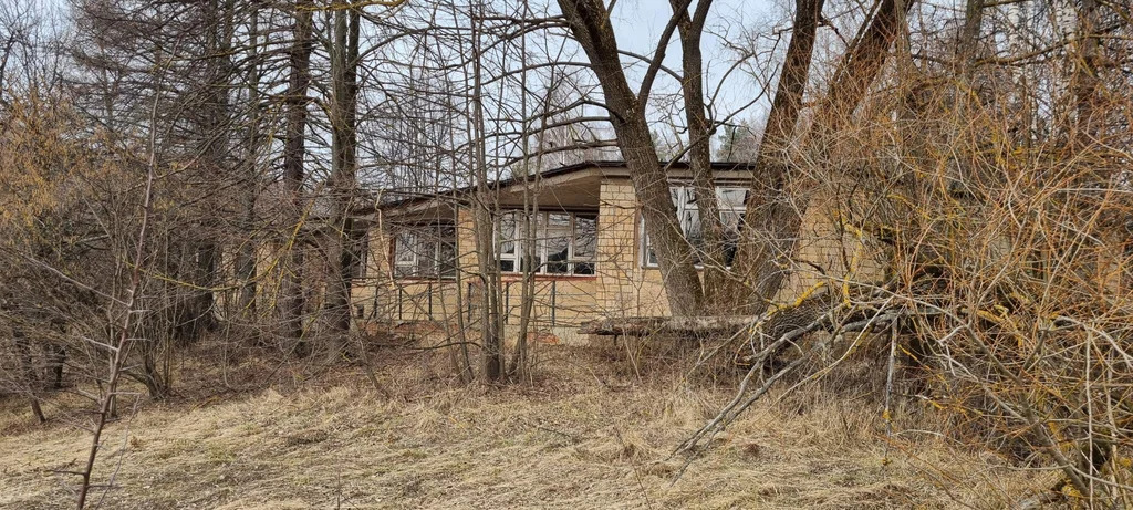 База отдыха "Лесные дали" - Фото 21