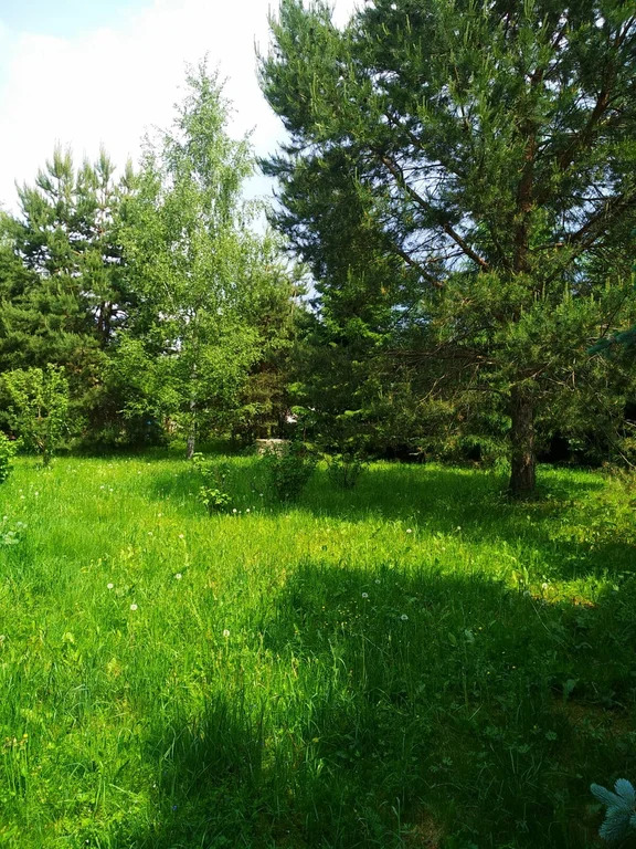 Продажа участка, Николо-Урюпино, Красногорский район, ул. Липовая - Фото 17