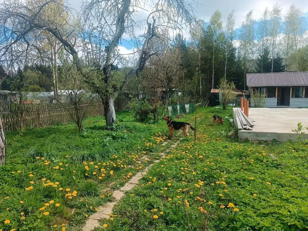 Продаю уч. в Брехово 8,35 сотки - Фото 17