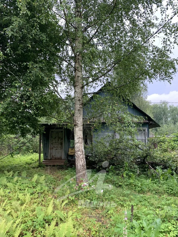 Продажа дома, Павловский Посад, Павлово-Посадский район - Фото 13