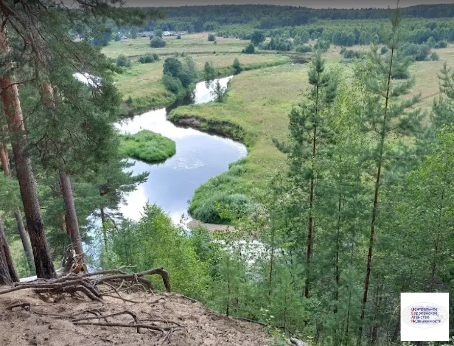 Продаю участок 15 сот. в центре дер. Вилино, Ярославской области. - Фото 8
