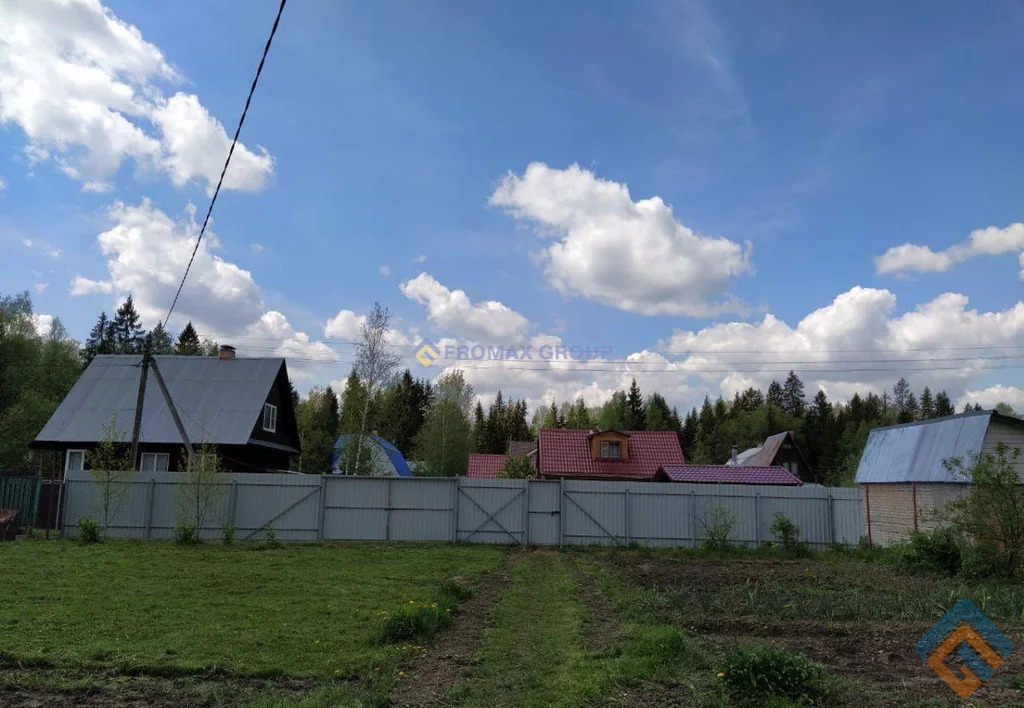 Твердякино. Степаньково (городской округ Клин).