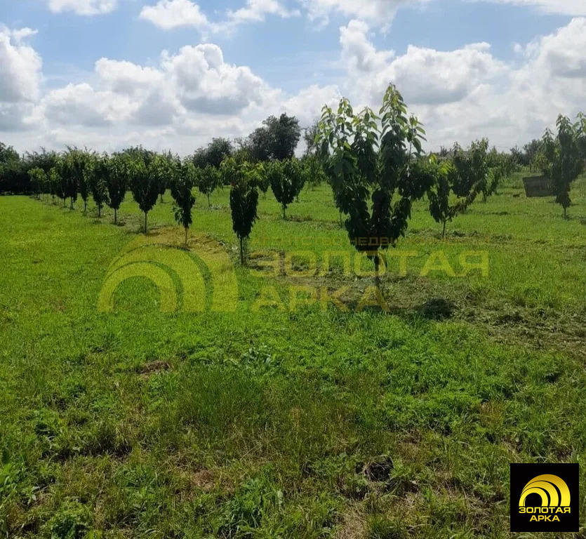 Продажа участка, Старонижестеблиевская, Красноармейский район, ул. ... - Фото 4