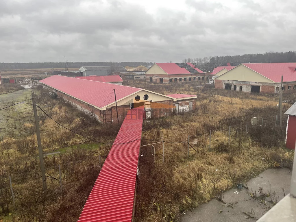 Продажа производственного помещения, Новый Милет, Балашиха г. о, . - Фото 0