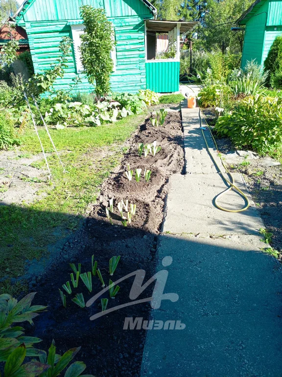 Продажа дома, Наро-Фоминский район, садовое товарищество Здоровье тер. - Фото 5