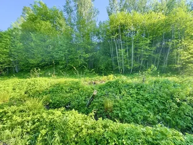 Участок ИЖС у Финского залива, 14 соток, супер цена - Фото 7