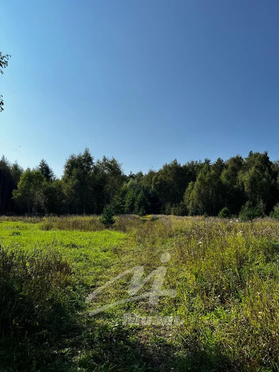 Продажа участка, Бисерово, Богородский г. о. - Фото 5