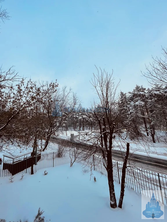 Продажа квартиры, м. Царицыно, Весёлая ул. - Фото 26