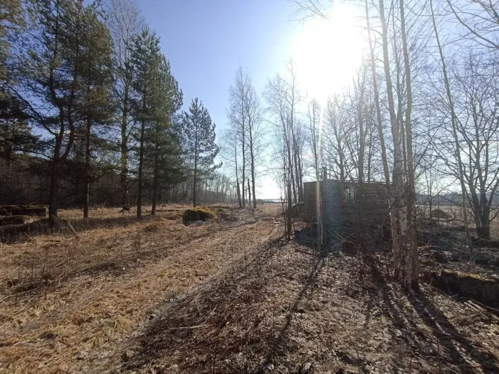 Участок в 100 м от озера Губановское - Фото 20