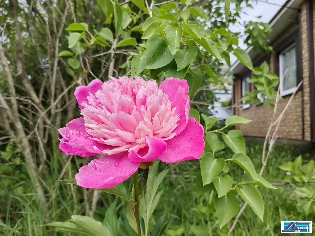 продается дом - Фото 18