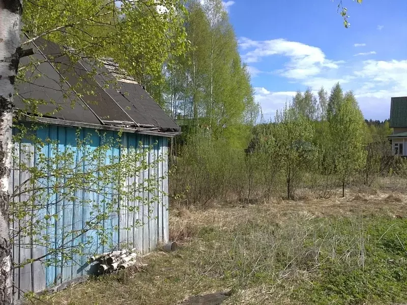 Дачи в конаковском районе тверской. Дачи в Иваньковском лесу.