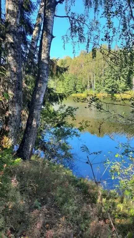 Купить участок 53.0 сот. Смоленская область, Рославльский район, ... - Фото 8