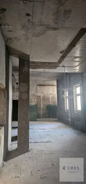 Подольск, ул. Доллежаля, д.42 , помещение , 170 м - Фото 3