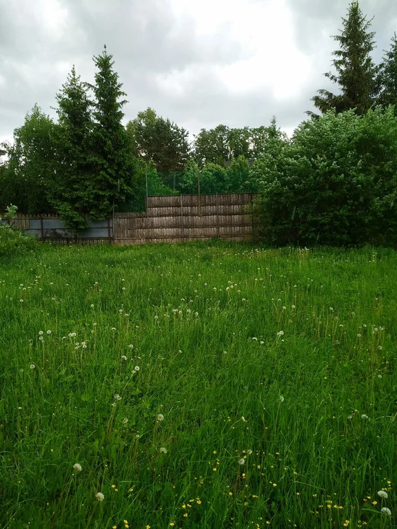 Продажа участка, Николо-Урюпино, Красногорский район, ул. Липовая - Фото 6