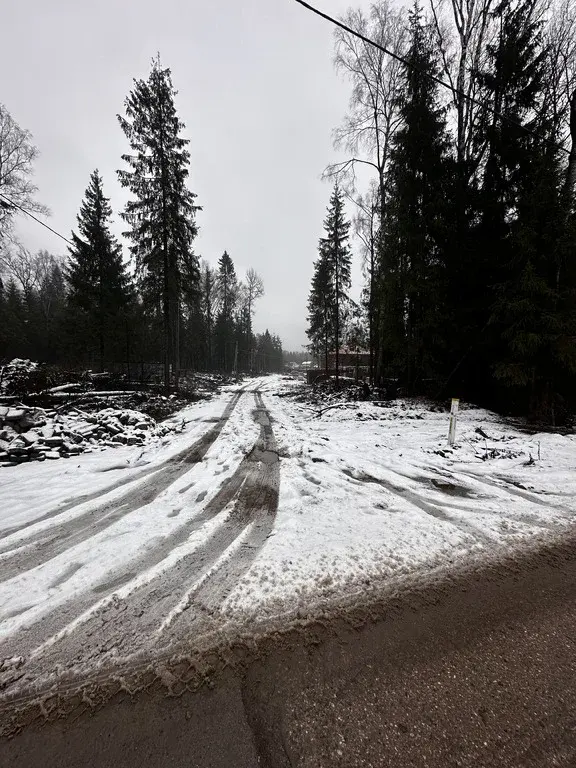 Земельный участок 15 соток в Московская обл., пос. Некрасовский - Фото 2