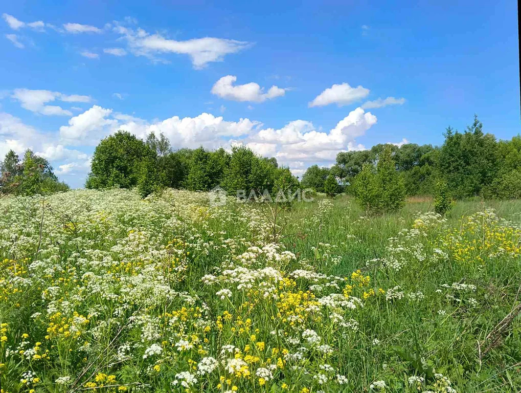 Собинский район, село Ворша,  земля на продажу - Фото 0