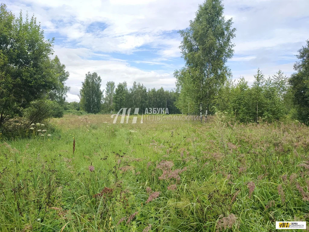 Продажа участка, Тимково, Богородский г. о. - Фото 1