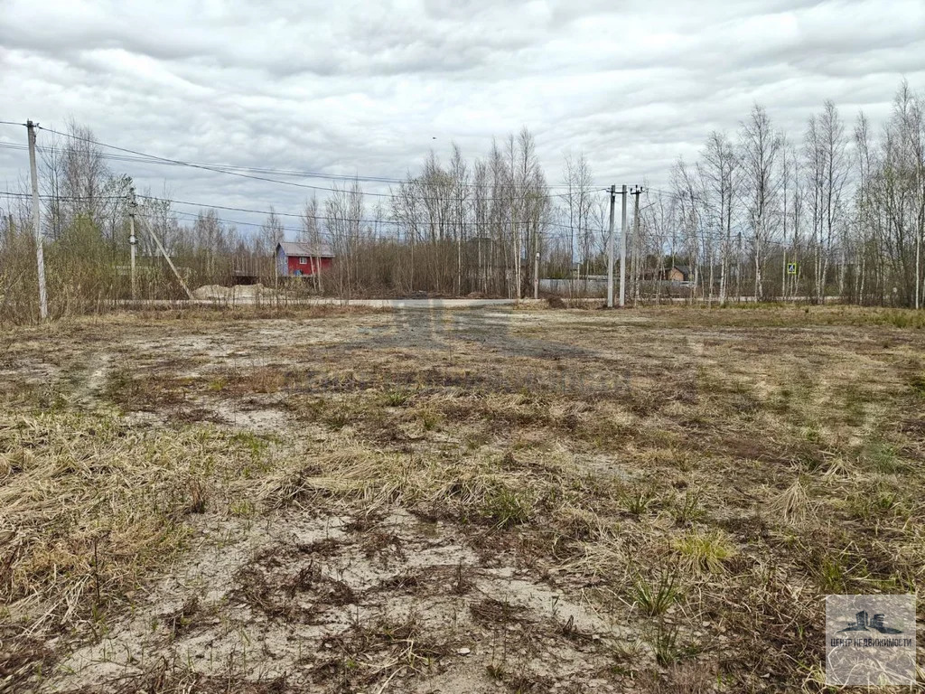 Продажа, участок 12.00 соток - Фото 8