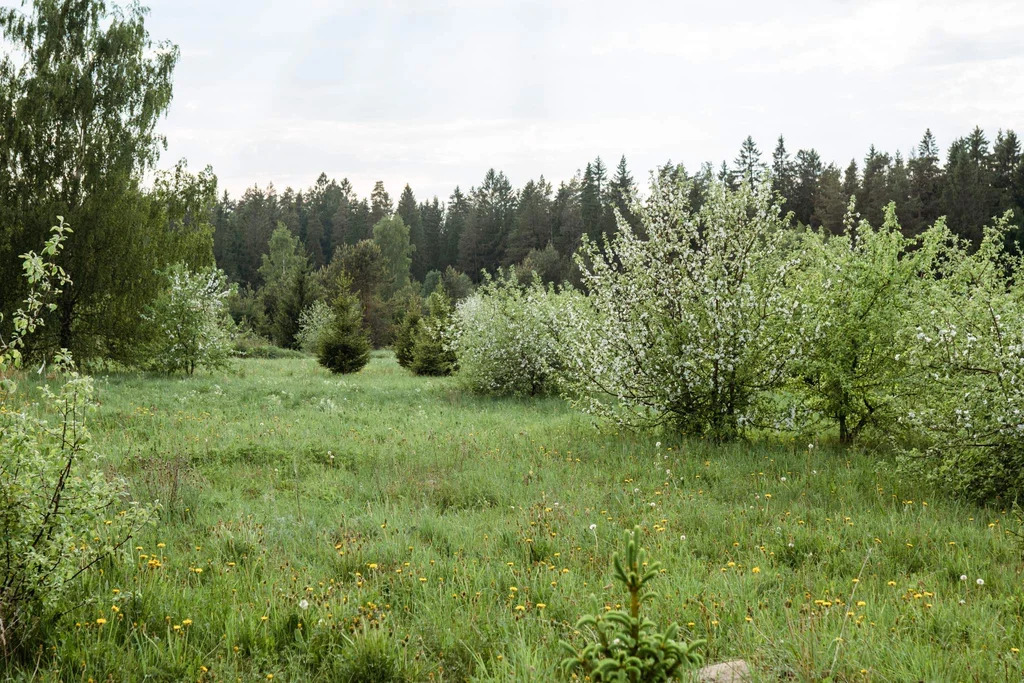 Продается земельный участок 16 сот. - Фото 7