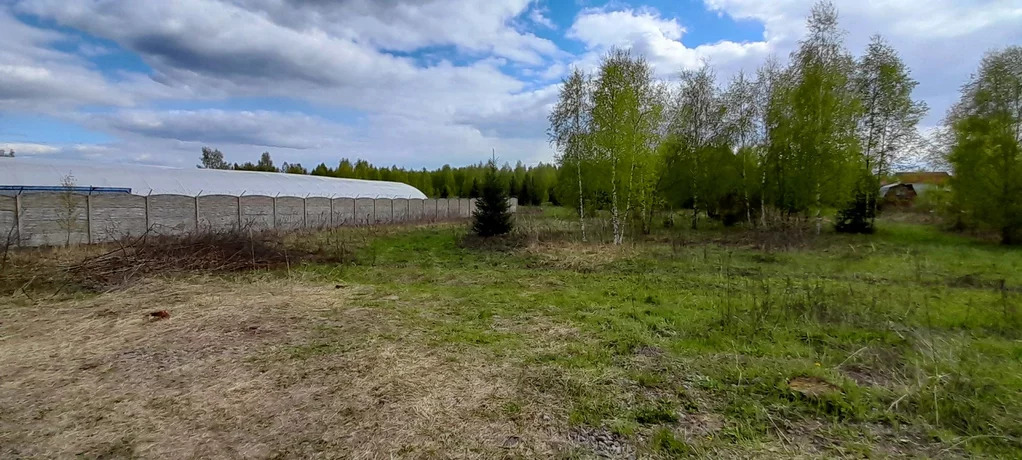 Погода в белозерово одинцовского. Шеняно Слобода Калужская область. Огурдино Пермский край.