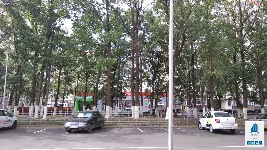 Сниму квартиру в районе парка галицкого. Парк краснодар 2022. Городской парк краснодар парк галицкого. Стадион краснодар парк. Сниму квартиру в районе парка галицкого.