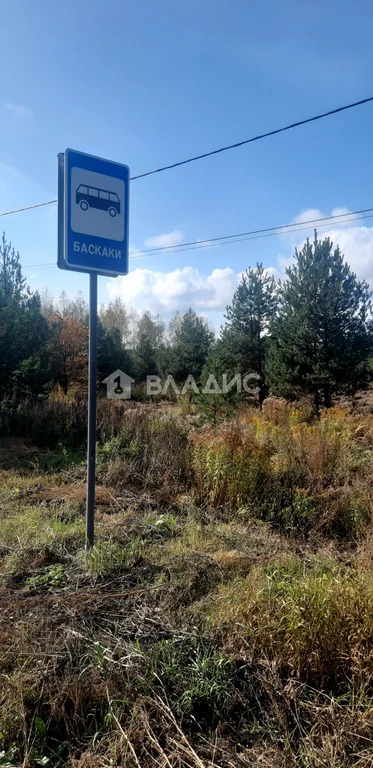 Суздальский район, село Баскаки,  земля на продажу - Фото 0