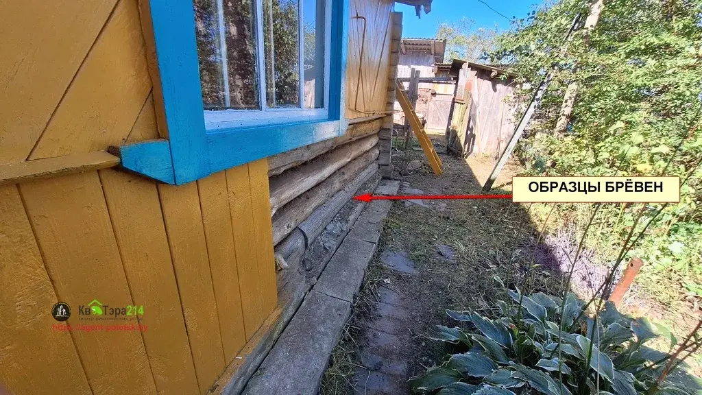 продам дом в Беларуси на Берегу Зап.Двины - Фото 13