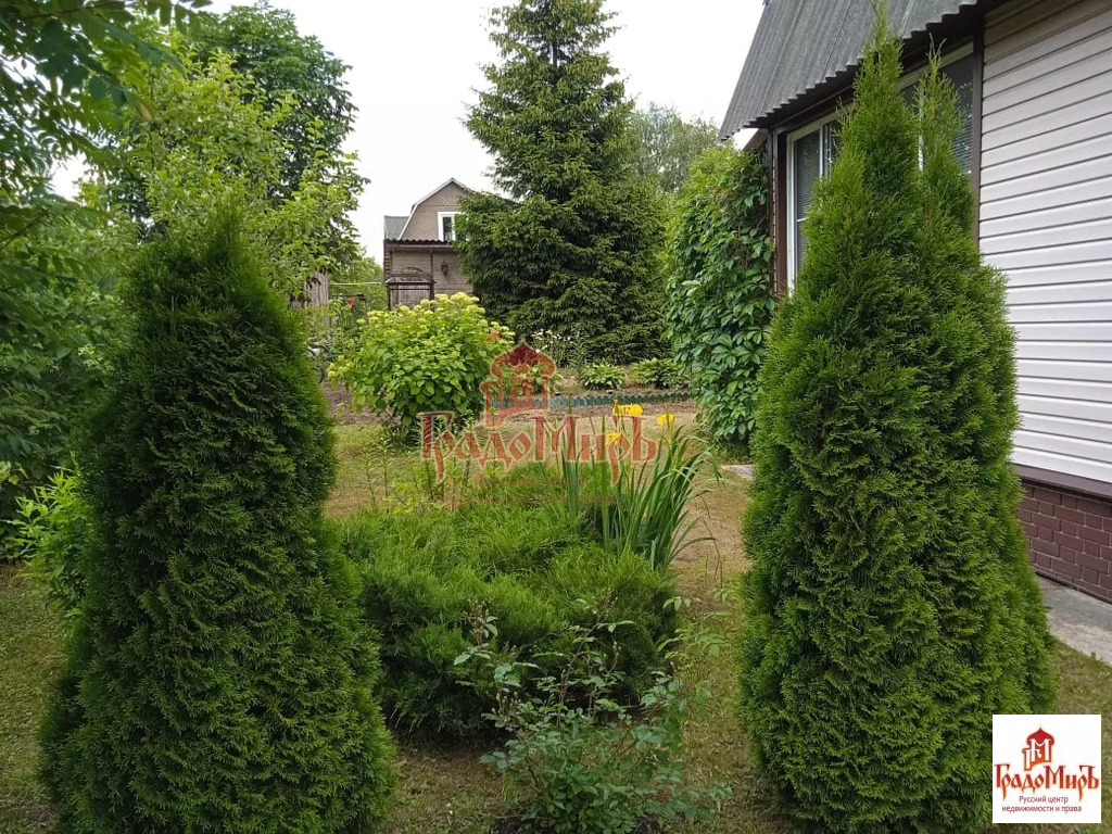 Продажа дома, Леоново, Сергиево-Посадский район, Лесное СНТ, 134 - Фото 2