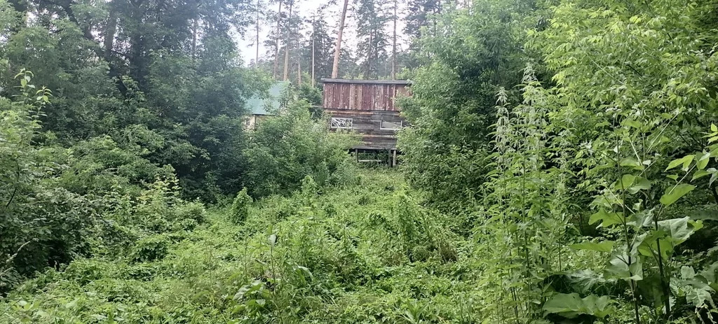 Продажа участка, Таргайский дом отдыха, Новокузнецкий район, ул. ... - Фото 0