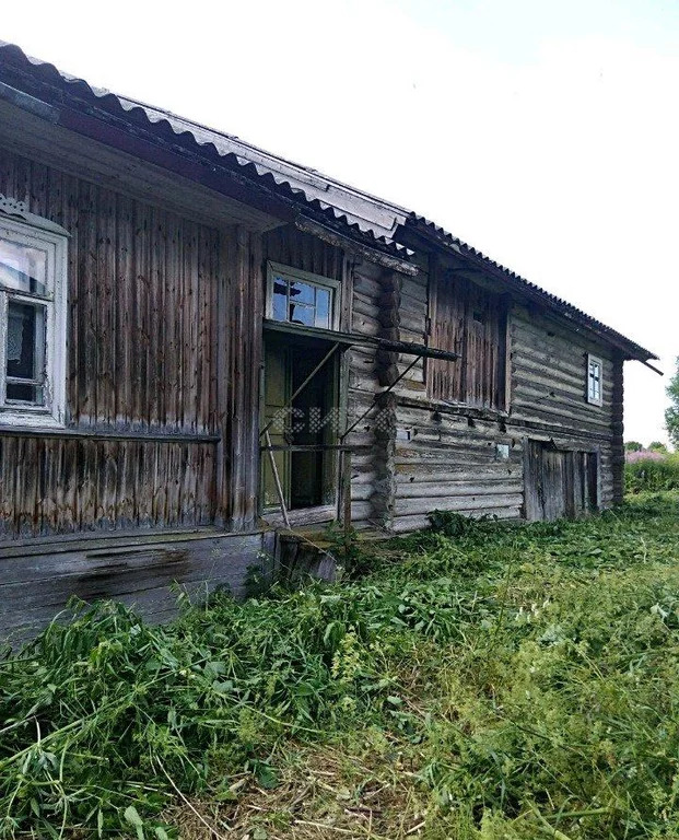 Великий двор Вологодская область Кирилловский район. Деревня Чарозеро Вологодская область Кирилловский район. Великий двор Чарозеро. Деревня Козлово Вологодской области.