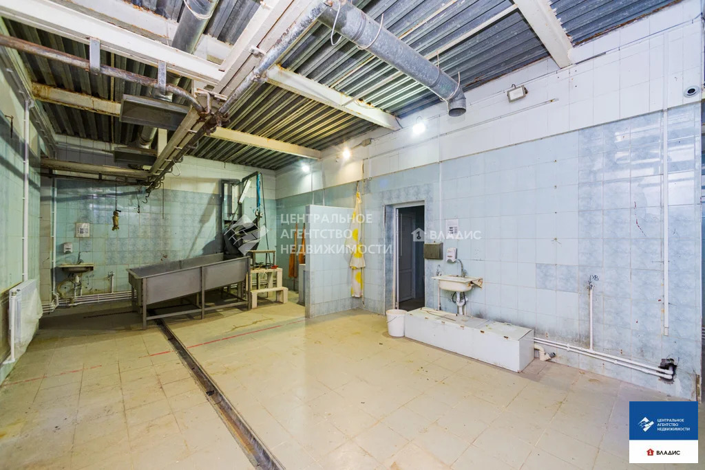 Продажа производственного помещения, Лялино, Захаровский район - Фото 9