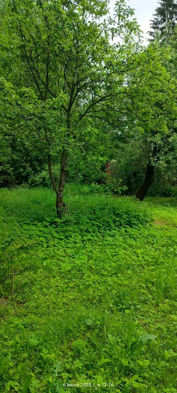 Продажа участка, Мытищинский район - Фото 16