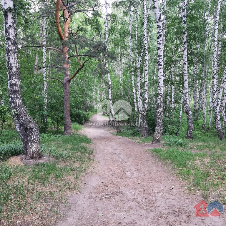 городской округ Новосибирск, Новосибирск, Выборная улица, д.137, ... - Фото 6