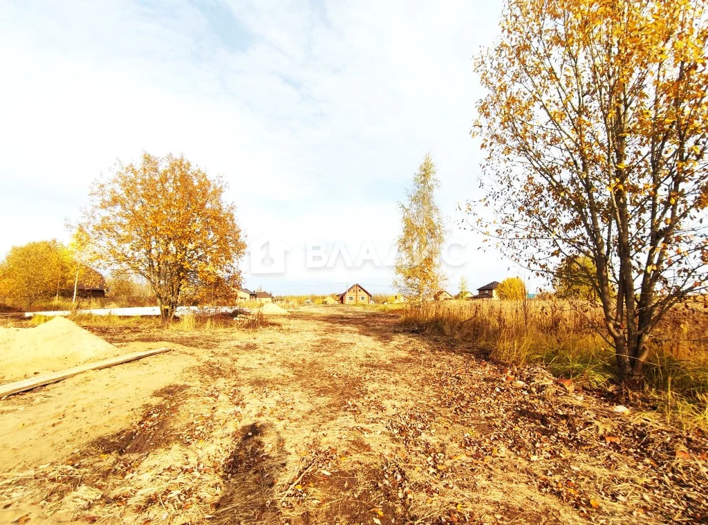 Суздальский район, село Оликово, Центральная улица,  земля на продажу - Фото 9