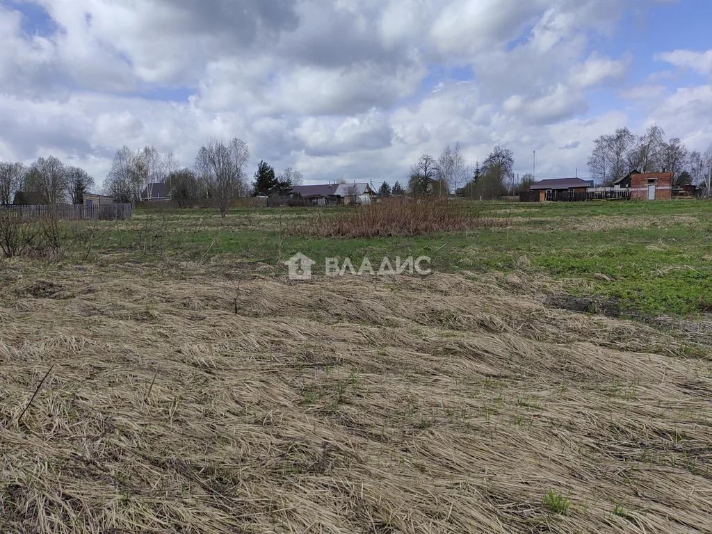 городской округ Шаховская, деревня Гордино,  земля на продажу - Фото 1