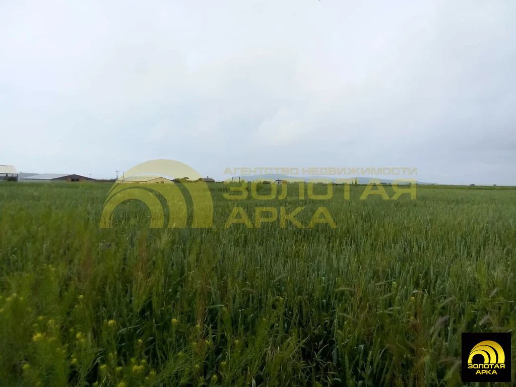 Продажа участка, Кучугуры, Темрюкский район, ул. Ленина - Фото 0