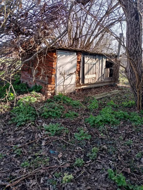 Продажа дома, Старонижестеблиевская, Красноармейский район - Фото 15