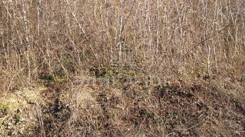 Продажа участка, Новомихайловский, Туапсинский район, Листопадная ул. - Фото 5