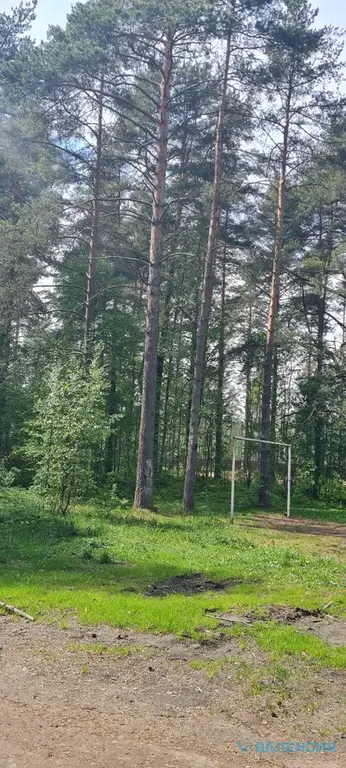 Продажа ЗУ в СНТ Сосновый бор, Куйвозовское СП, ж/д ст. 47 км - Фото 13