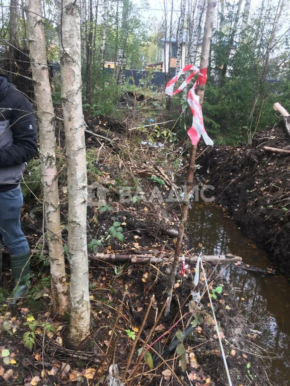 Всеволожский район, садоводческое некоммерческое товарищество ... - Фото 0