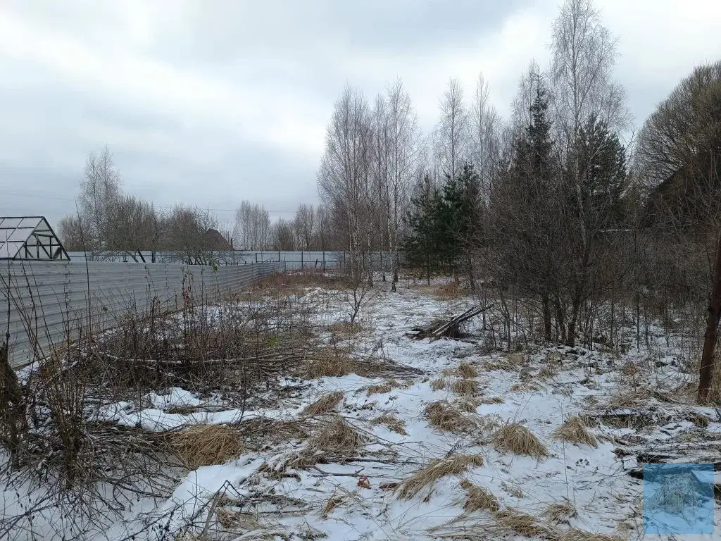 12 соток ИЖС в д. Шишовка - Фото 3