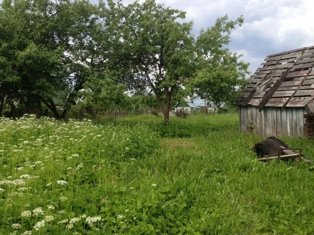 Где Лучше Купить Участок В Подмосковье