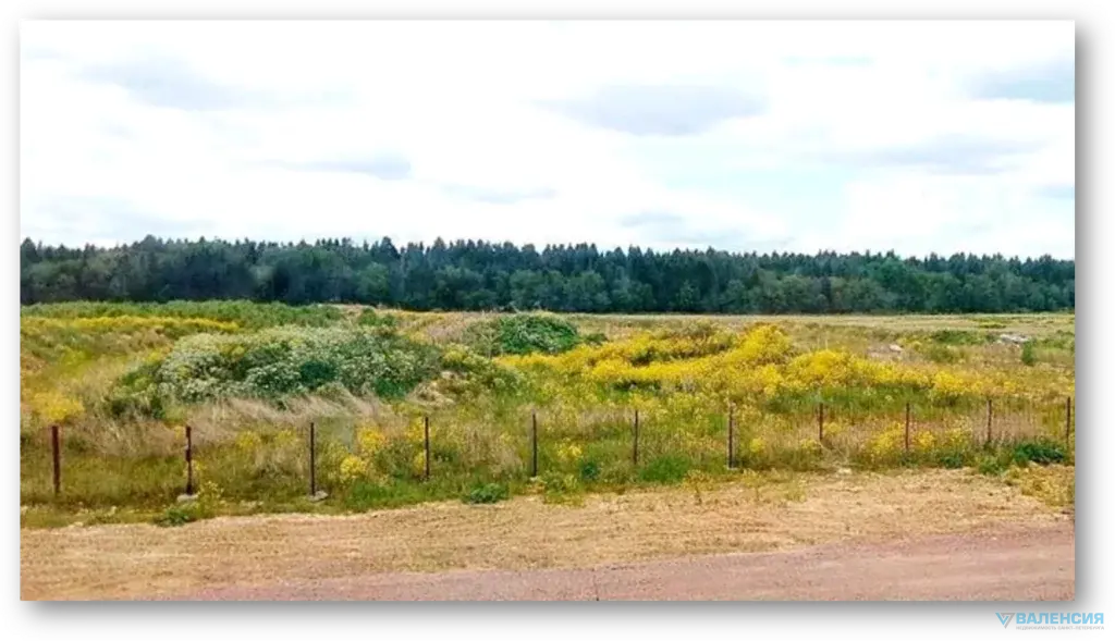 Продажа 2х ЗУ Земли поселения для строительства Таун Хаусов - Фото 4