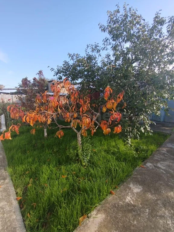 Продажа дома, Севастополь, ул. Школьная - Фото 14