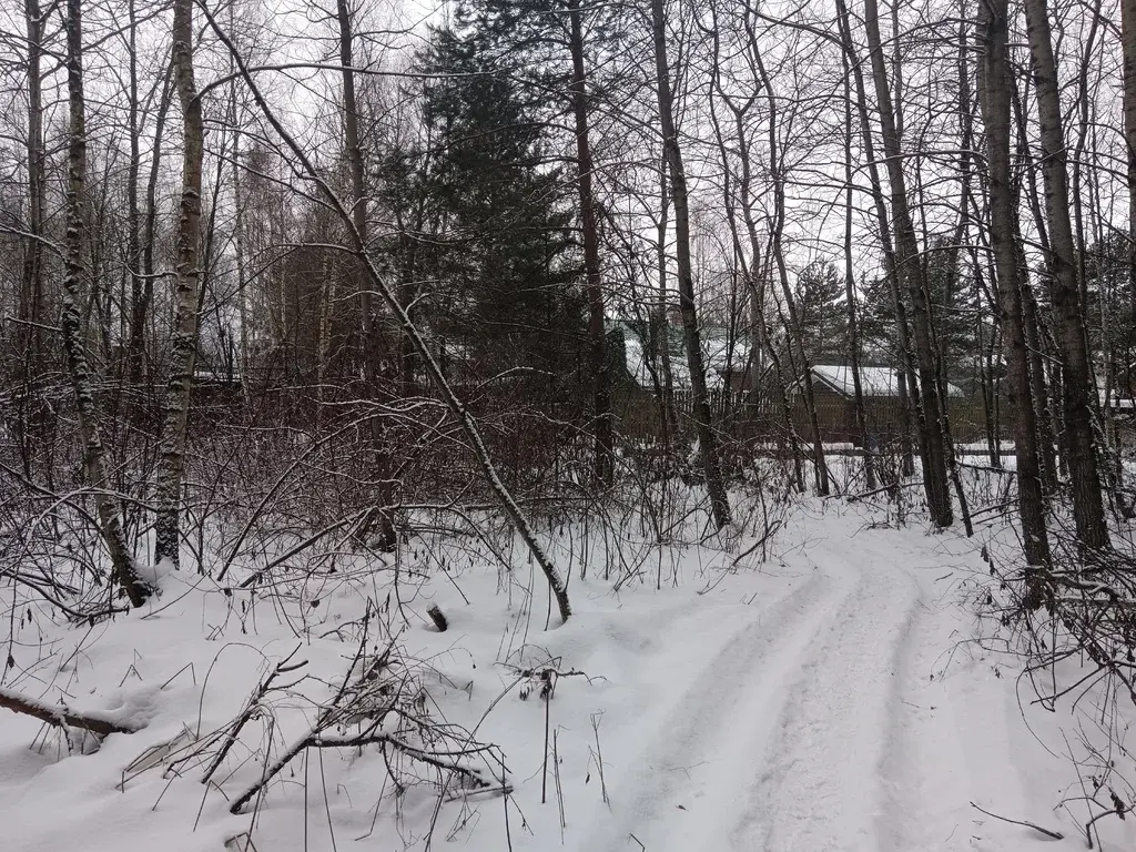 Продам земельный участок 19 соток в д.Чиверево, г.о. Мытищи - Фото 2