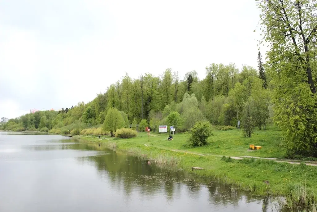 Деревня грибки. Село грибки Московская область. Грибки дачный поселок. Д. грибки фото. Грибка поселок чаща для.